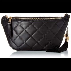 ALDO Black Fanny Bag